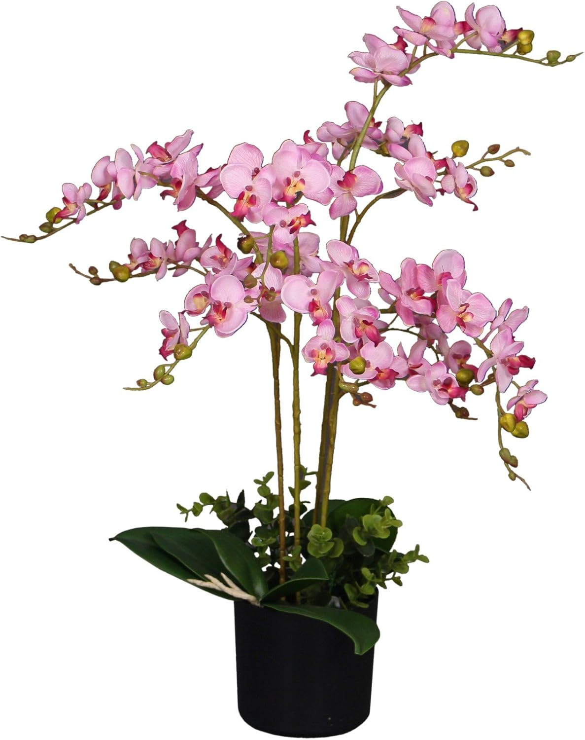 Gorgeous Pink Phalaenopsis Orchid Silk Plant with Real Touch Leaves 2.5