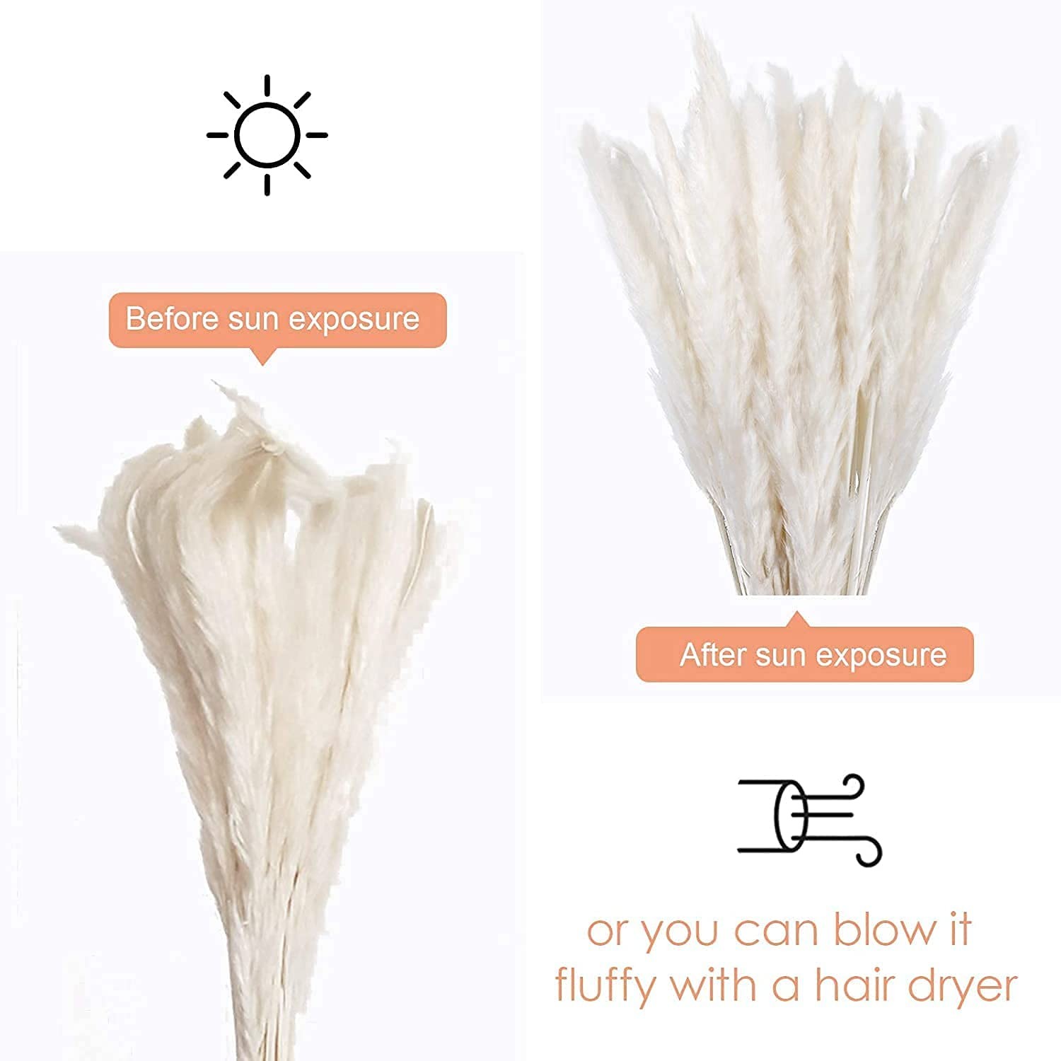 30 PCS 17 inch White Pampas Grass Natural Dried Branches for Home Vase Decor