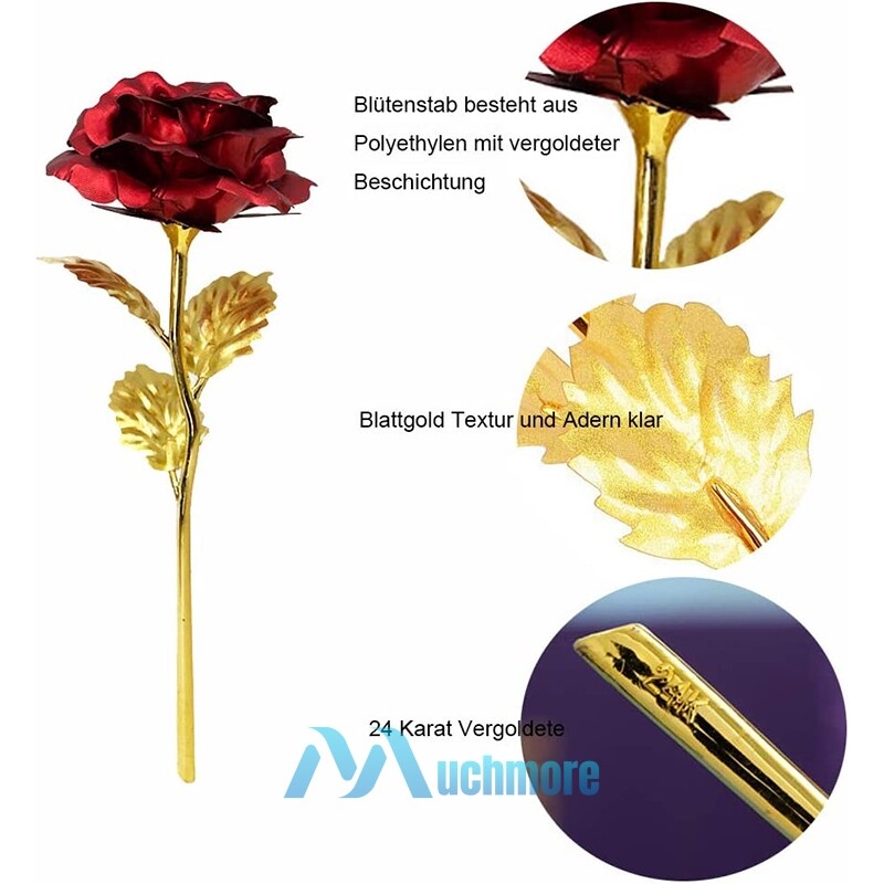 Enchanted Preserved Rose Flower In Dome Glass LED Night Light Anniversaries Gift