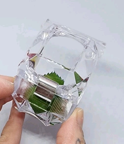 preserved Real red rose W Leaf In clear diamond shaped acrylic Ring box