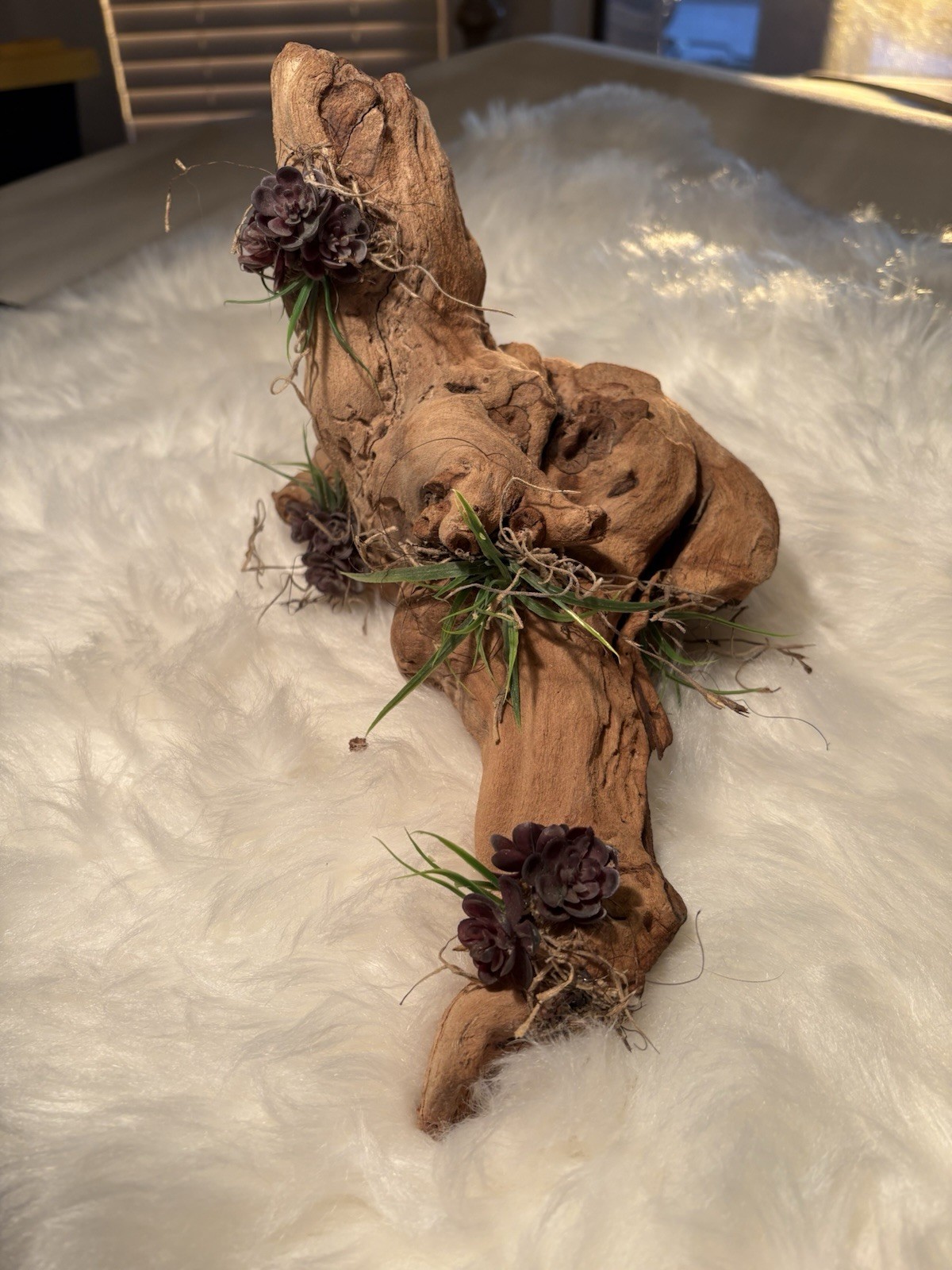 Grapewood Branch Natural Rare Piece Decorative With Colored Succulent Grass