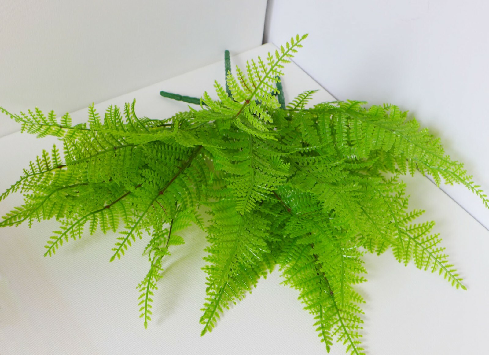 6 Pcs Artificial Plant Small Plastic Boston Fern Tree Grasses