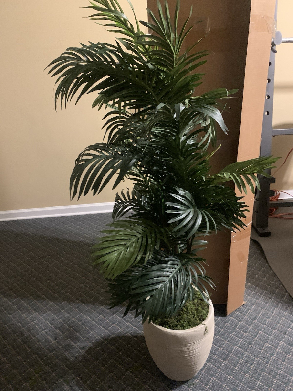Indoor 4ft, Paradise Palm Artificial Tree in Sand Colored Planter