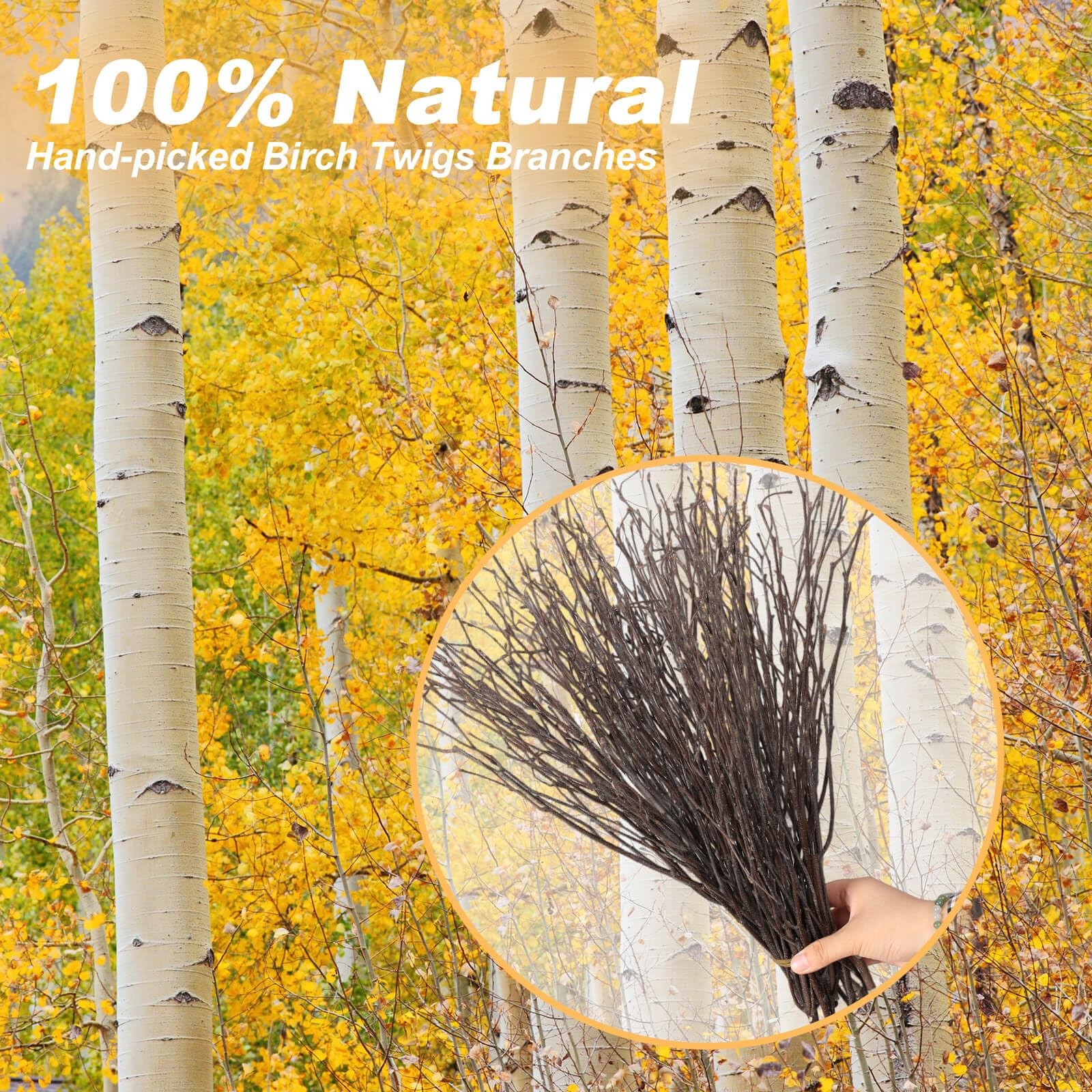 30Pcs Real Dried Birch Twigs – 16” Decorative 100% Natural Birch Branches | East