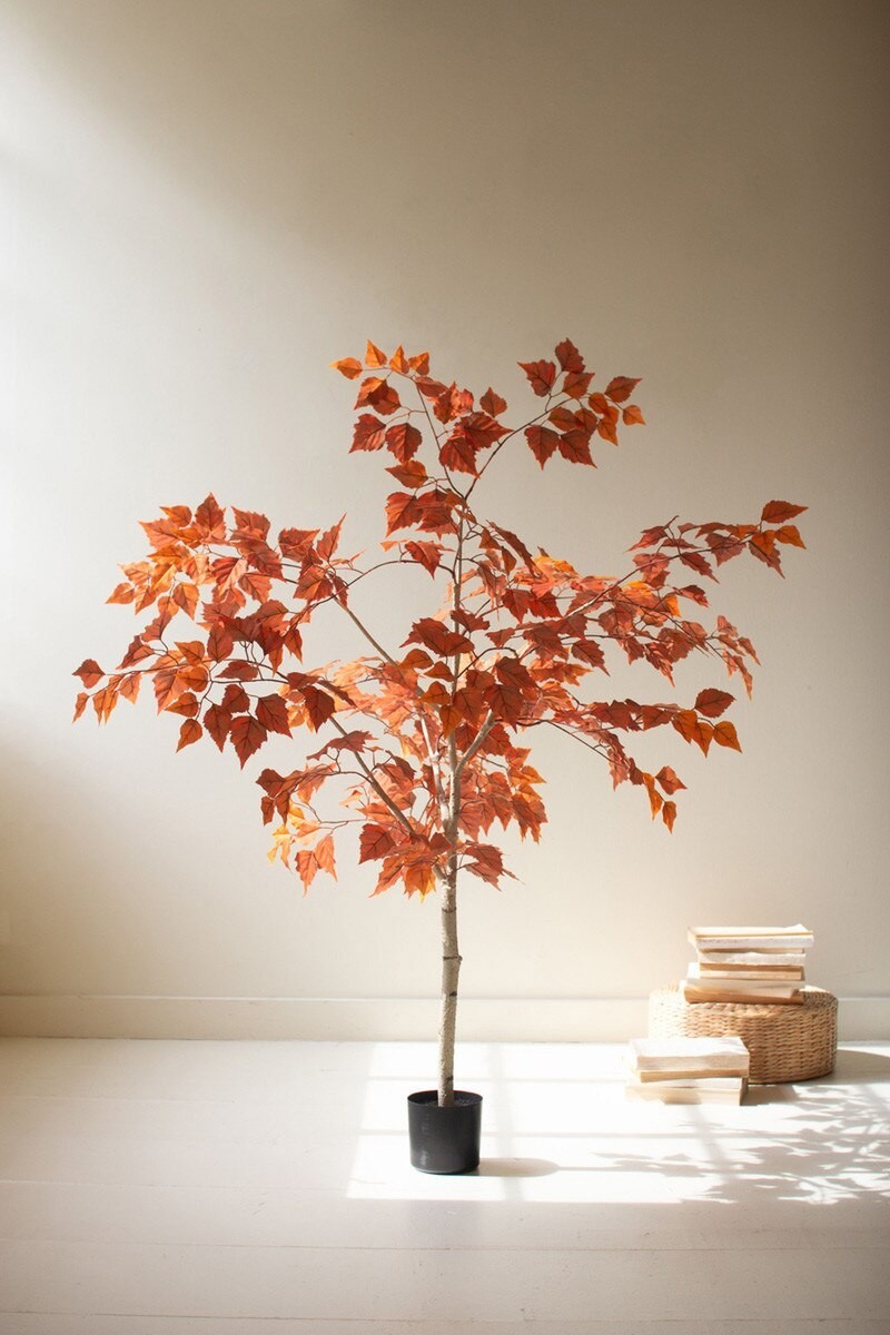 Artificial Autumn Birch Tree In Black Plastic Pot Designed For Home Display