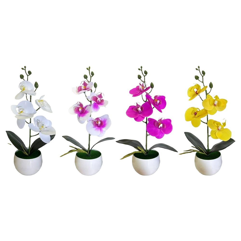Four Flower Butterfly Orchid Bonsai Simulation in Round Belly Pot Decor