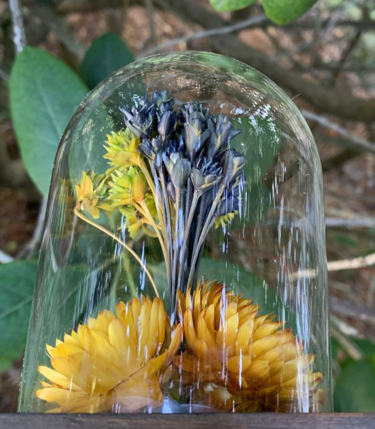 VTG Leonard Creations California Dried Flower Glass Dome on Wood Base w/ Sticker