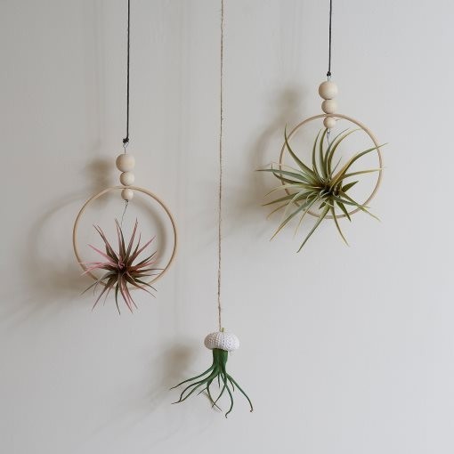 IKEA FEJKA Artificial Plant Set Of 3 Air Plant Selling 2 boxes as a bundle