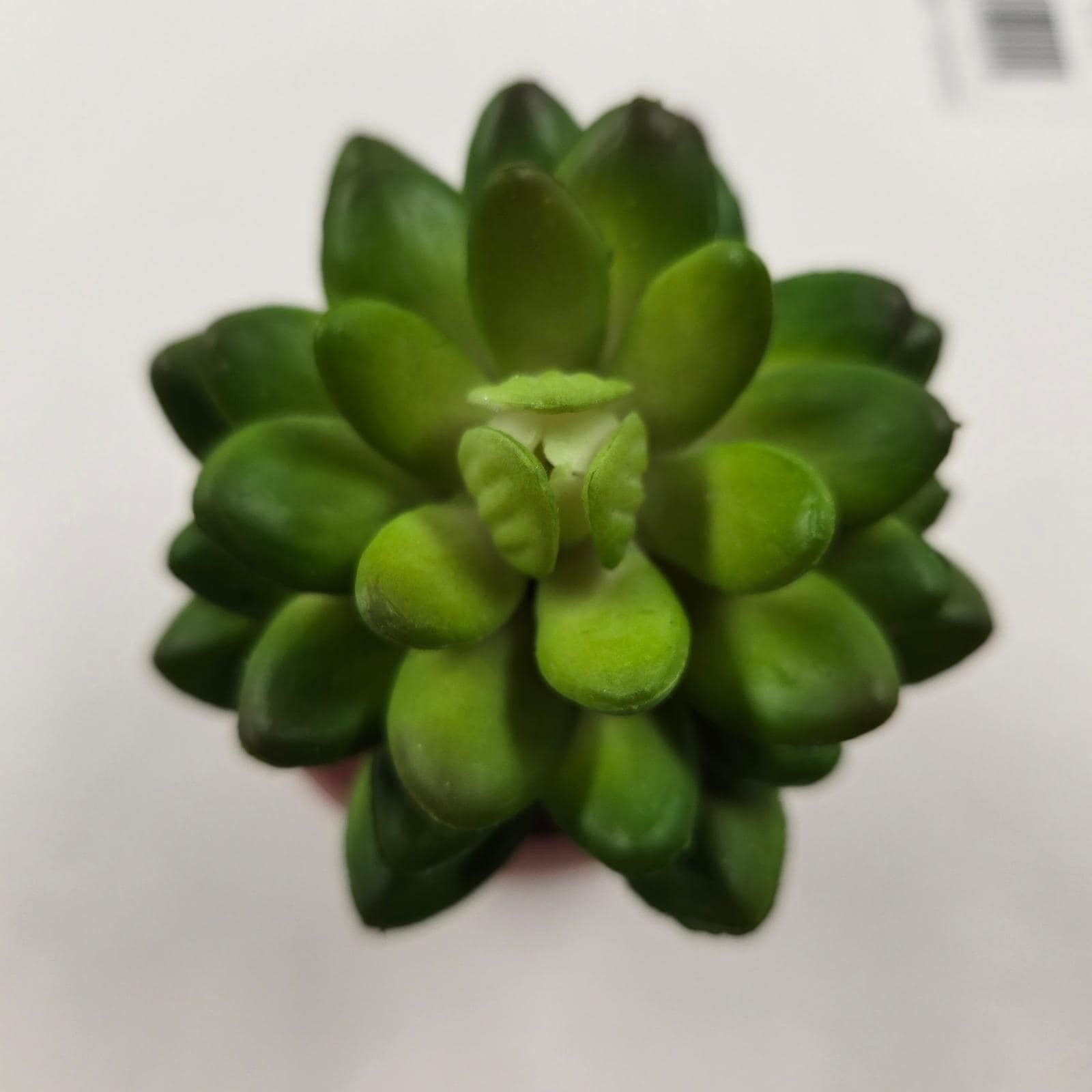 Handmade Faux Succulent in Clay Pot Mini Plant Decor Gift Home Office