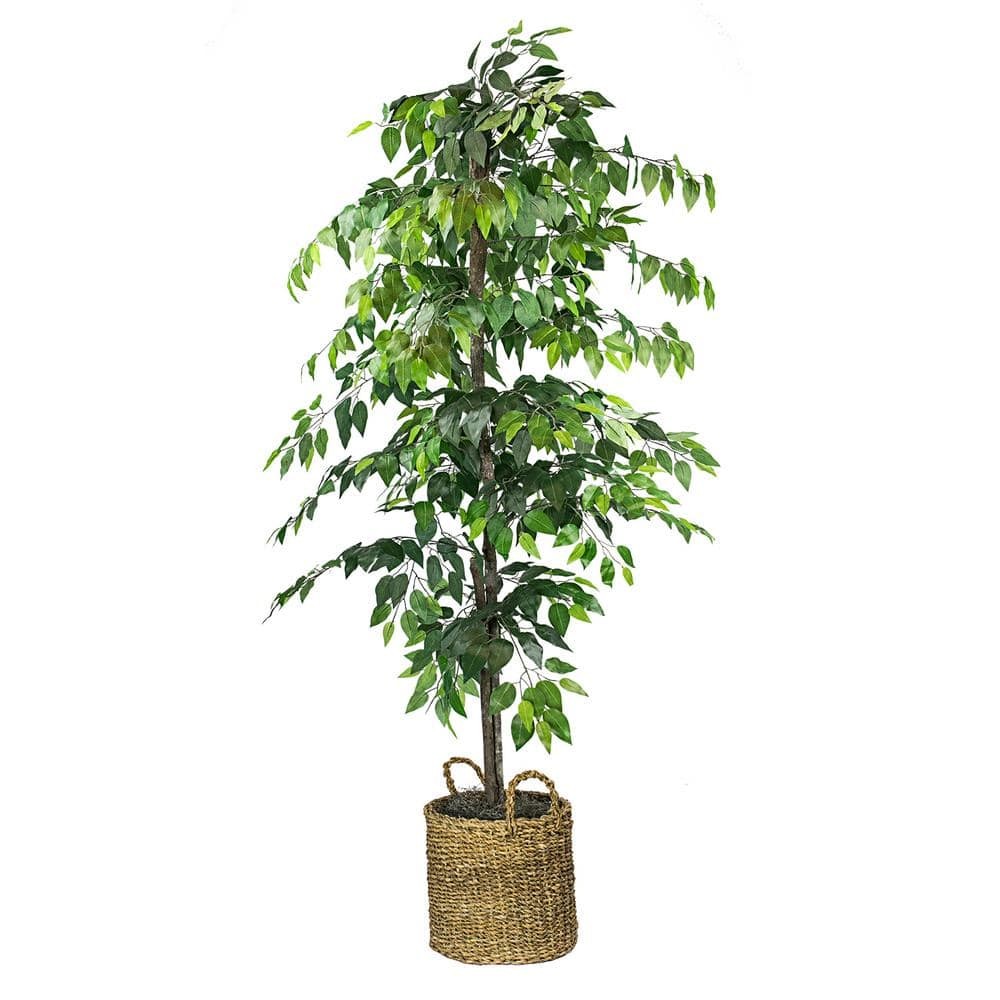 Artificial Plant 6-Foot Ficus Tree in Woven Natural Basket Home or Office Decor