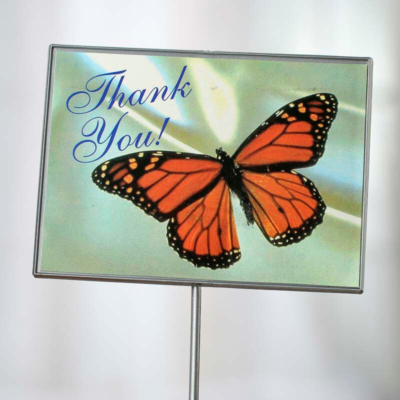 Bulk Lot of 48 Floral Embellishing Acrylic Butterfly ‘Thank You’ 13-1/2″ Picks