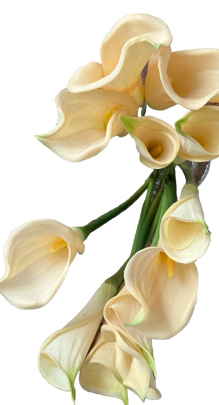 12 PCS Artificial Real Touch Faux Calla Lily Ivory Flowers 25’’