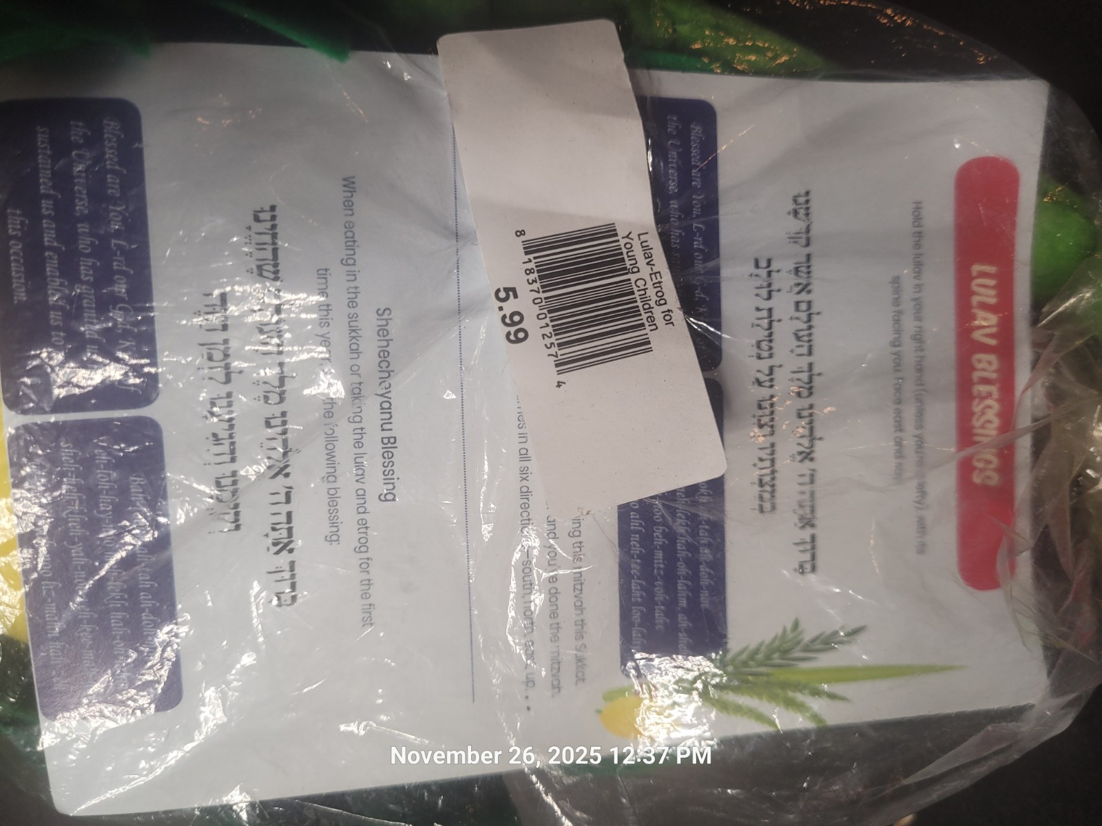 Lulav Blessings Flower – For Children and adults. Never Used. See Pics