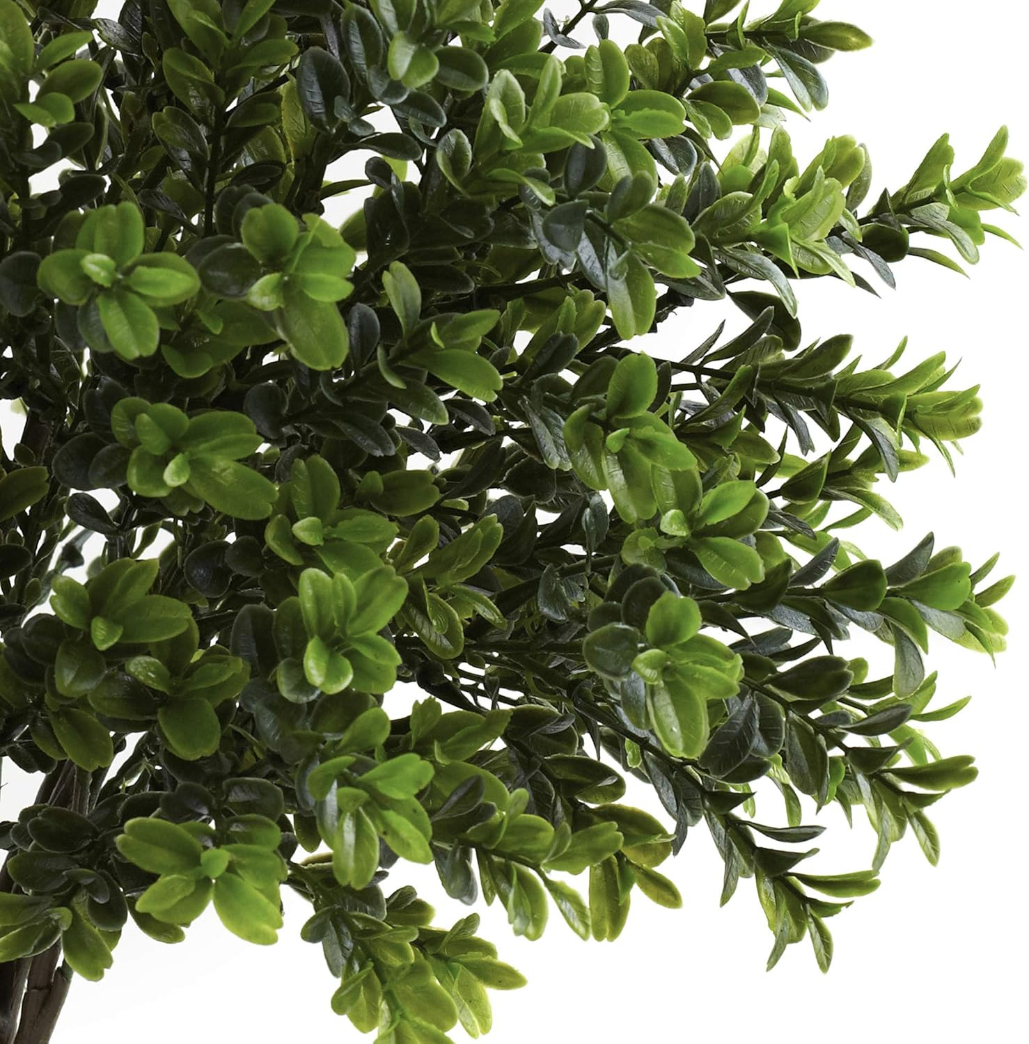 6112-S2 Bush (Set F 2) (Indoor/Outdoor), 2 Piece,Green