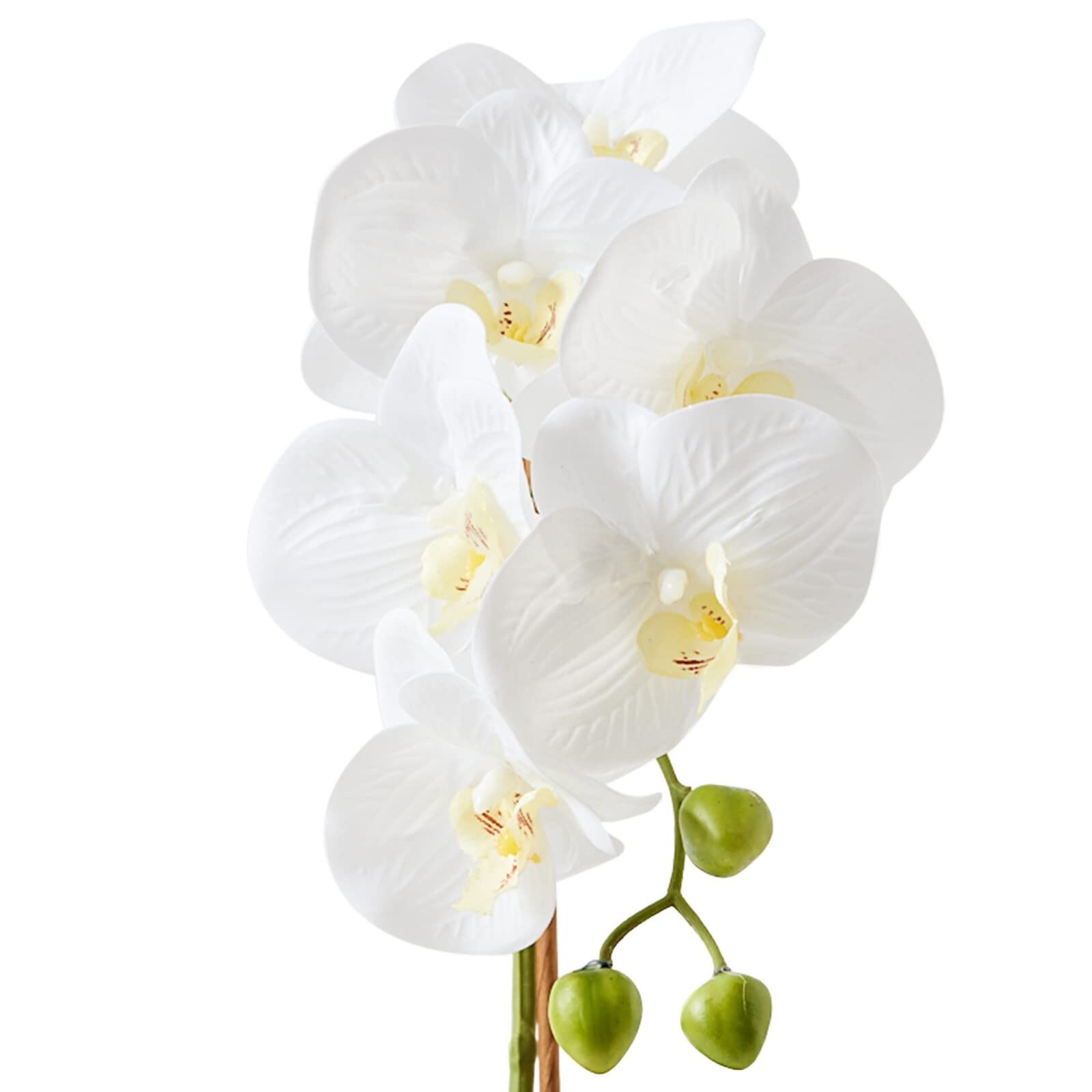 Orchids Artificial Flowers, 15″ Faux Orchid in Gold Flower Pot Real Touch Flo…