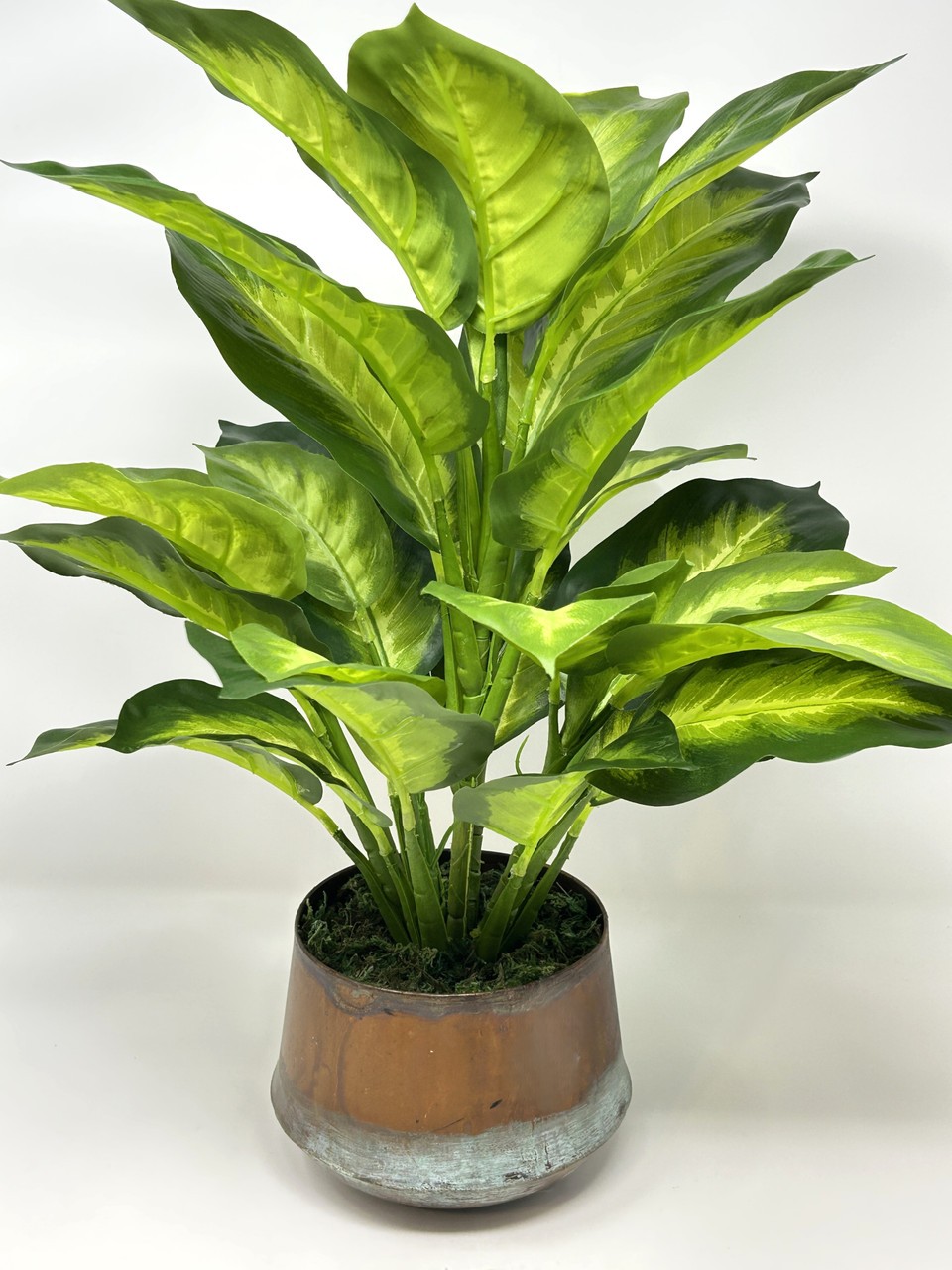 18″ Lg Artificial AGLAONEMA DIEFFENBACHIA faux Silk plant in Copper Pot