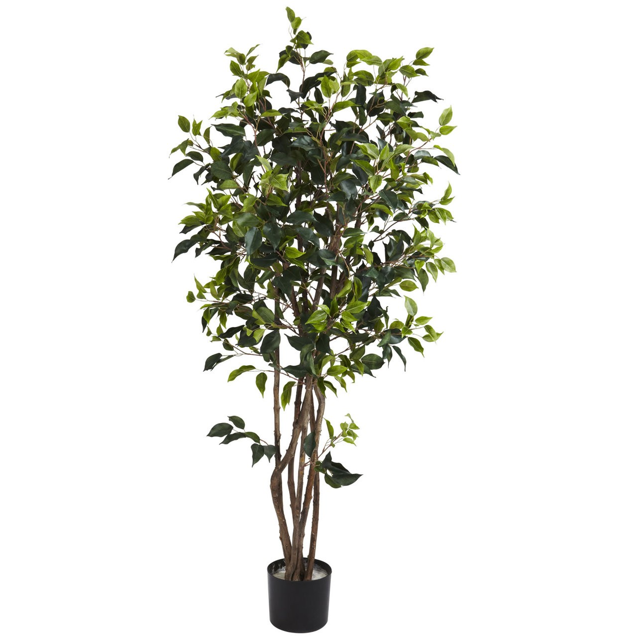 5′ Ficus Bushy Silk Tree