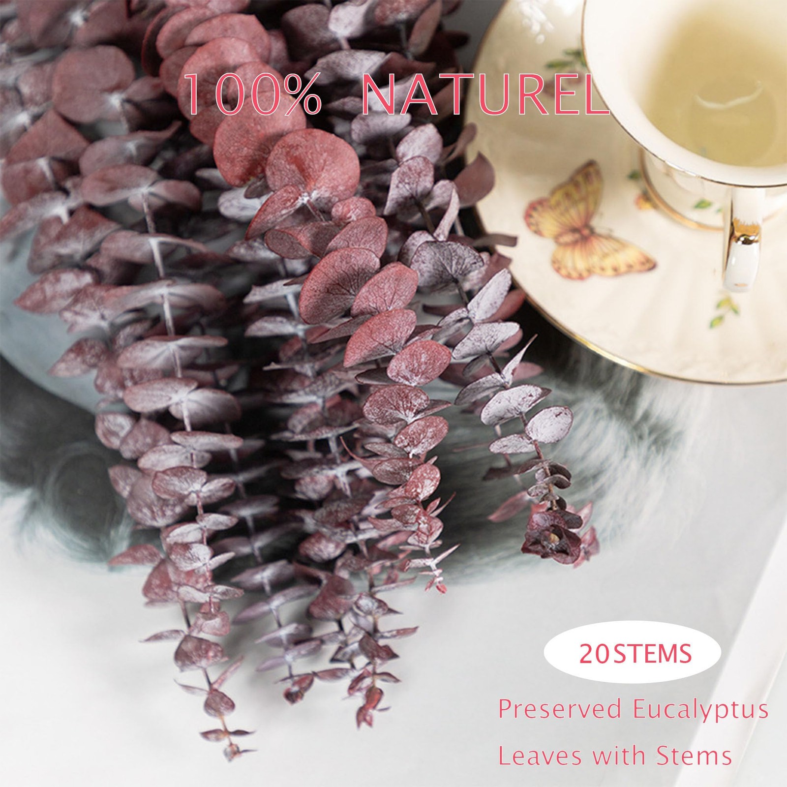 Dried Red Eucalyptus Stems 20 Pcs 16 Inch Natural Branches – Wedding & Home