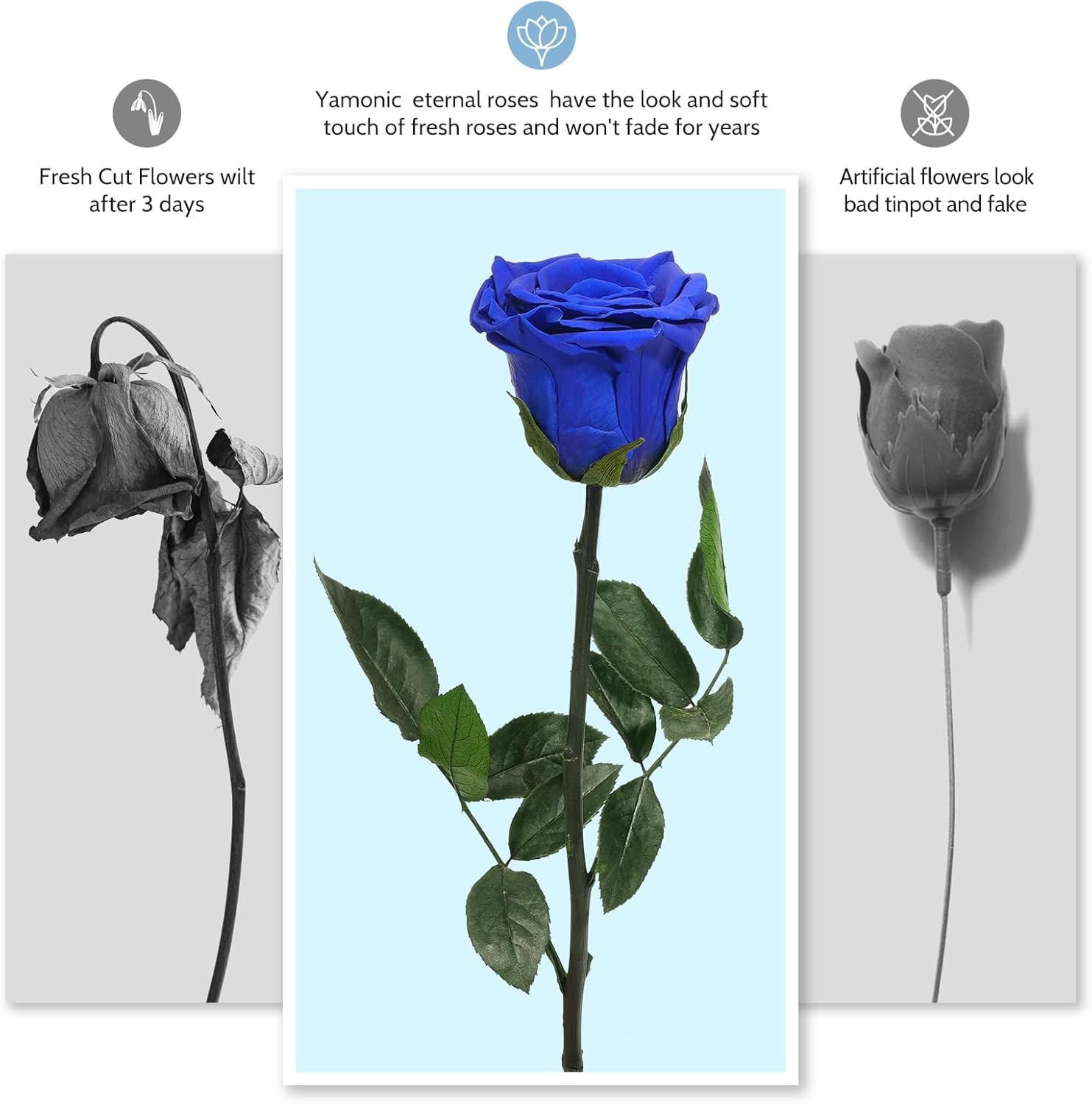 Preserved Flowers Rose Gifts for Women, Mothers Day Rose Flowers Gifts for Mom,