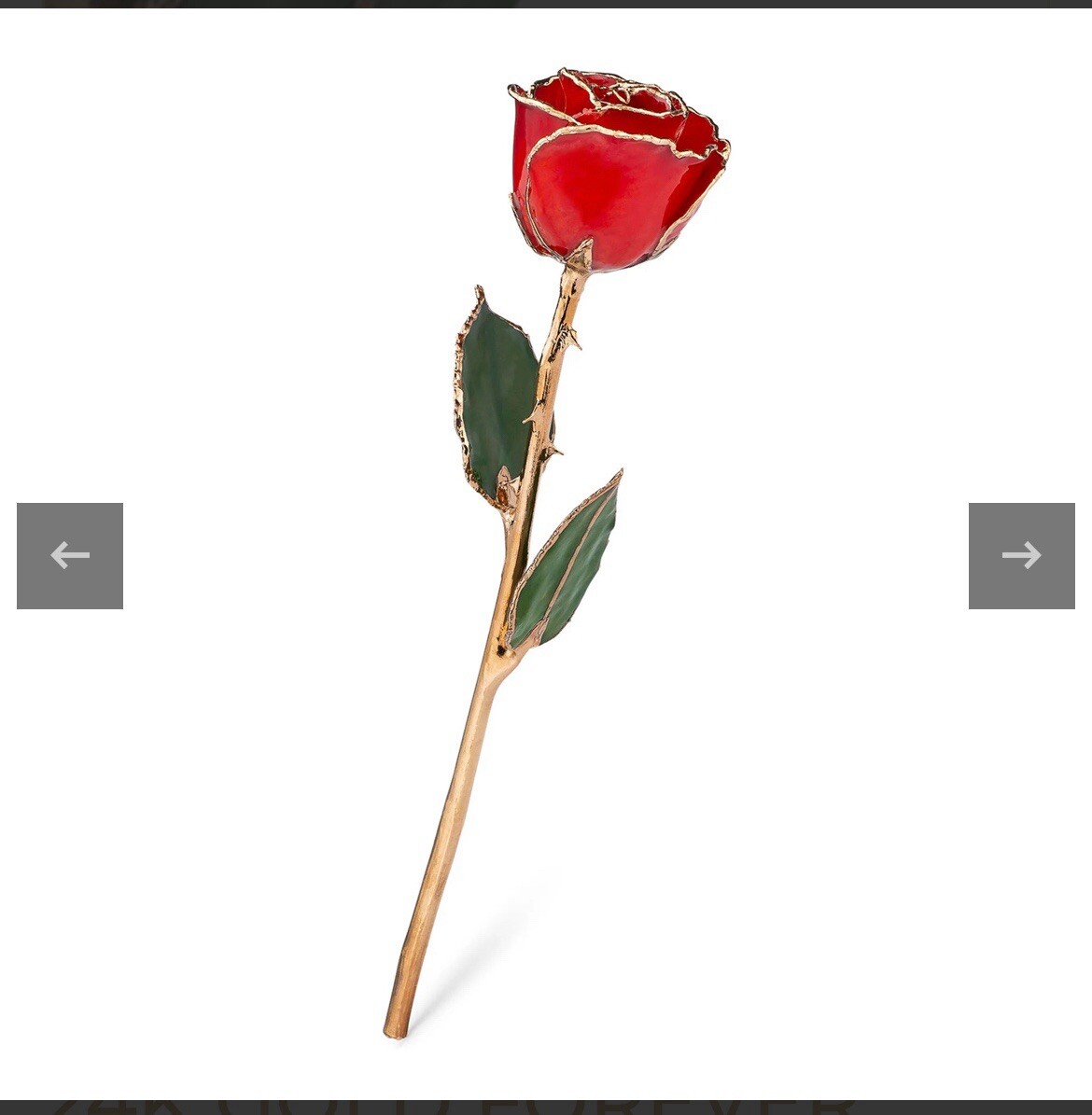 Elegant Real Red Rose Preserved in 24k Gold forever Rose NEW In box