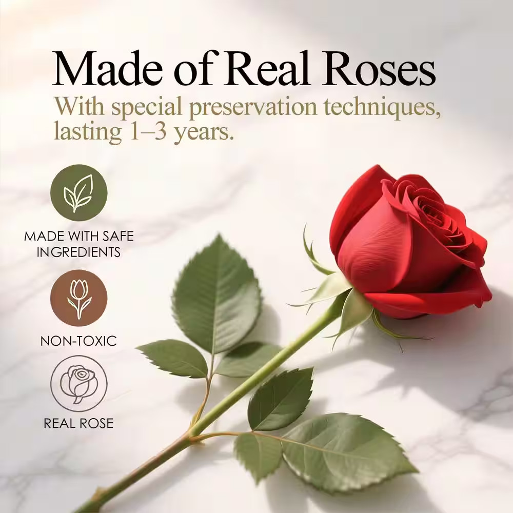 13.4 In. Purple Artificial Preserved Rose Bouquet-Includes Gift Box and Greeting