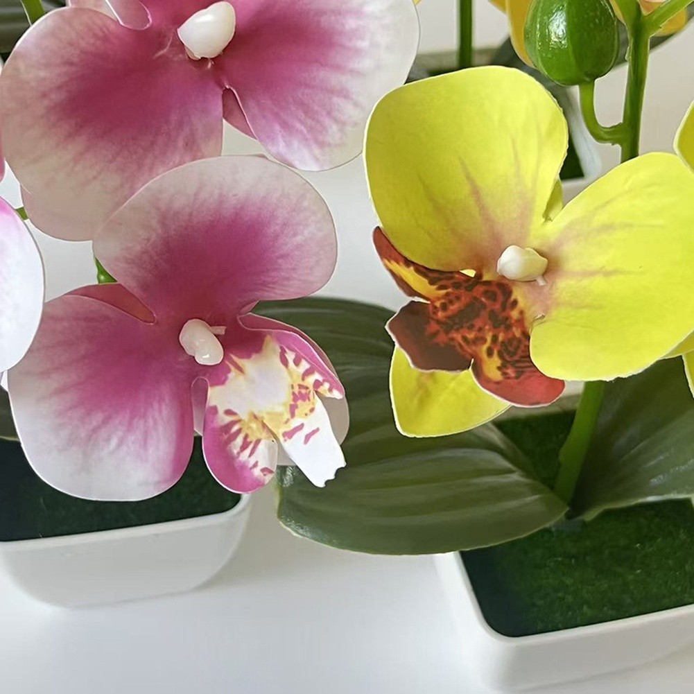 Artificial Orchid Arrangement 3 Bloom 7.09in with Square Pot for Living Room