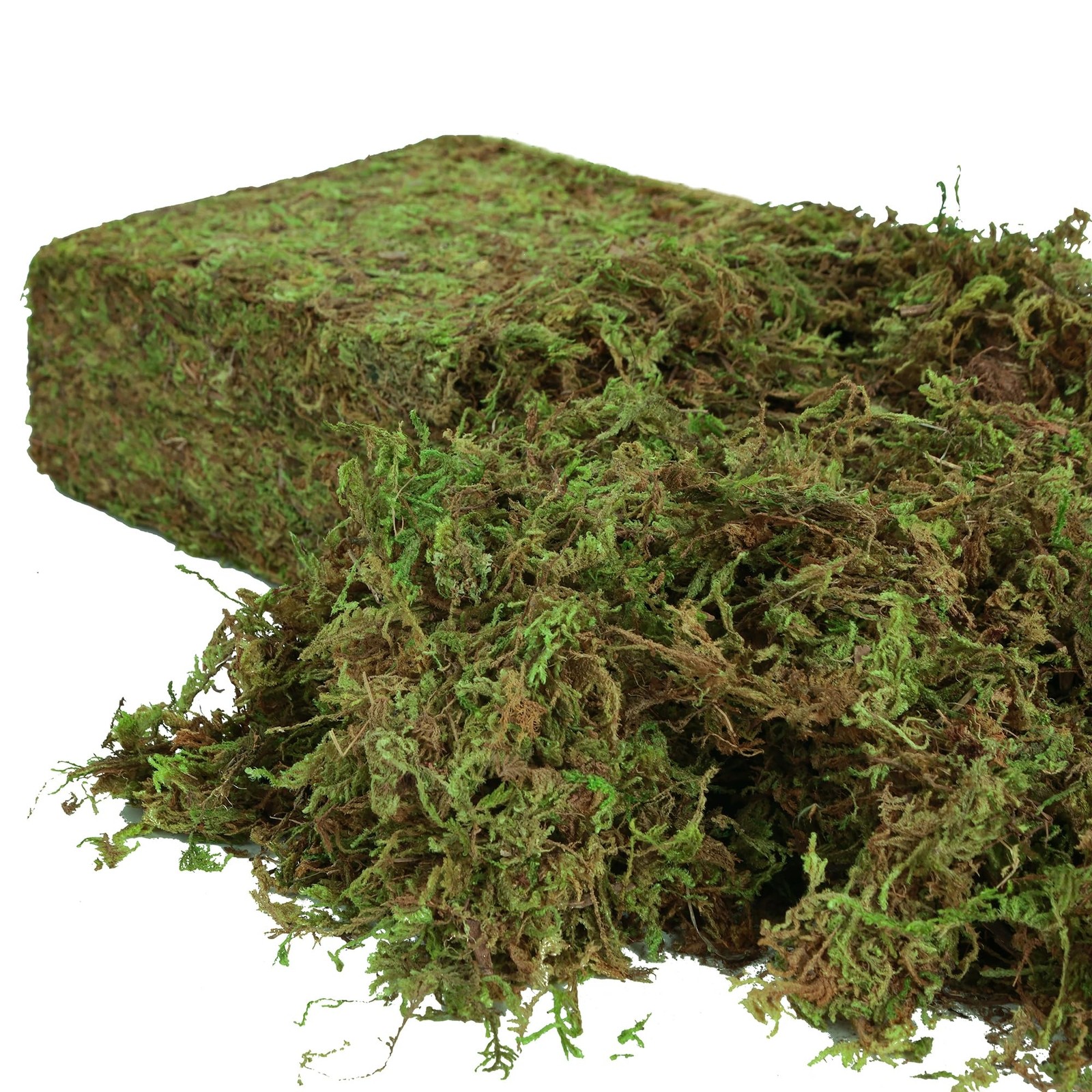 Artificial Moss for Indoor Plants, 16OZ Fake Moss for Crafts, Decorative Cent…