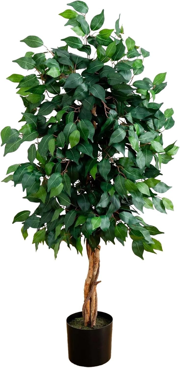 Lifelike 4ft Ficus Silk Tree with Natural Wood Trunks – No Maintenance Needed