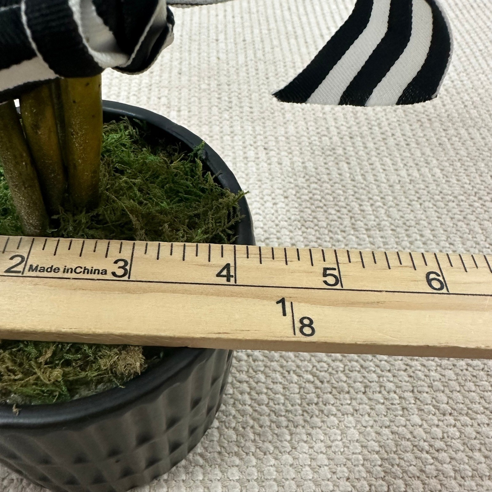 Preserved Boxwood Topiary 15in Ball in Black Ribbed Ceramic Pot Striped Ribbon