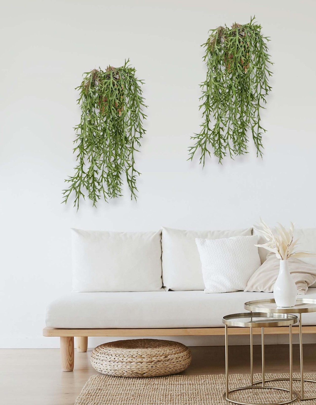 3 Fake Hanging Plants of Lambs Ear Stems with Roots, 47.24 inch Faux Hanging …