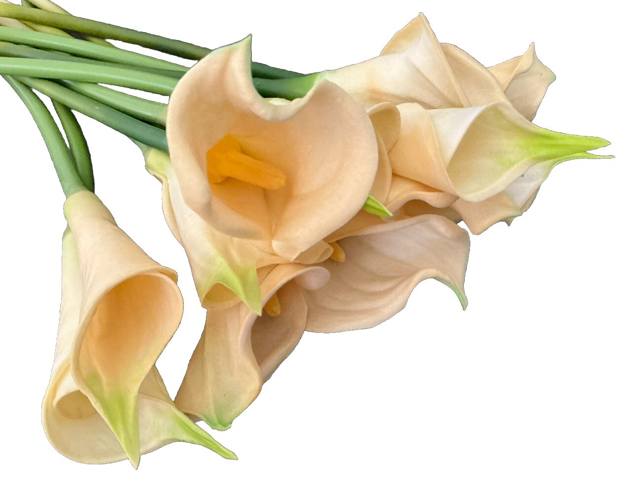 12 PCS Artificial Real Touch Faux Calla Lily Ivory Flowers 25’’