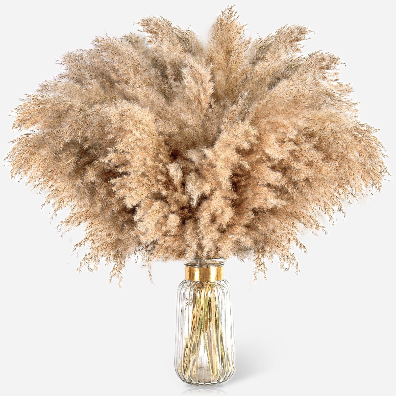 22pcs Pampas Grass Decor-Natural Dried Fluffy Brown Pompas Grass,Short Fluffy…