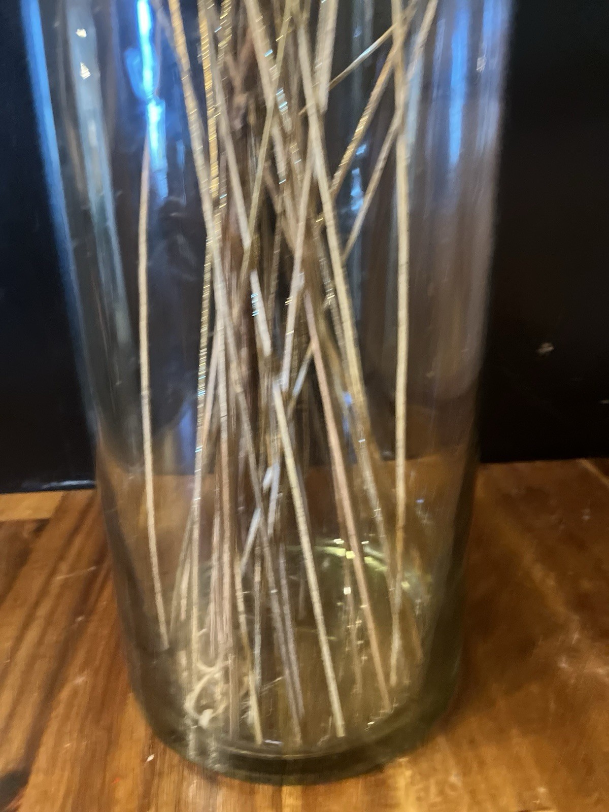 Gold Metallic Curly Willow Branches Decorative Floral Accents Vase Filler Stems