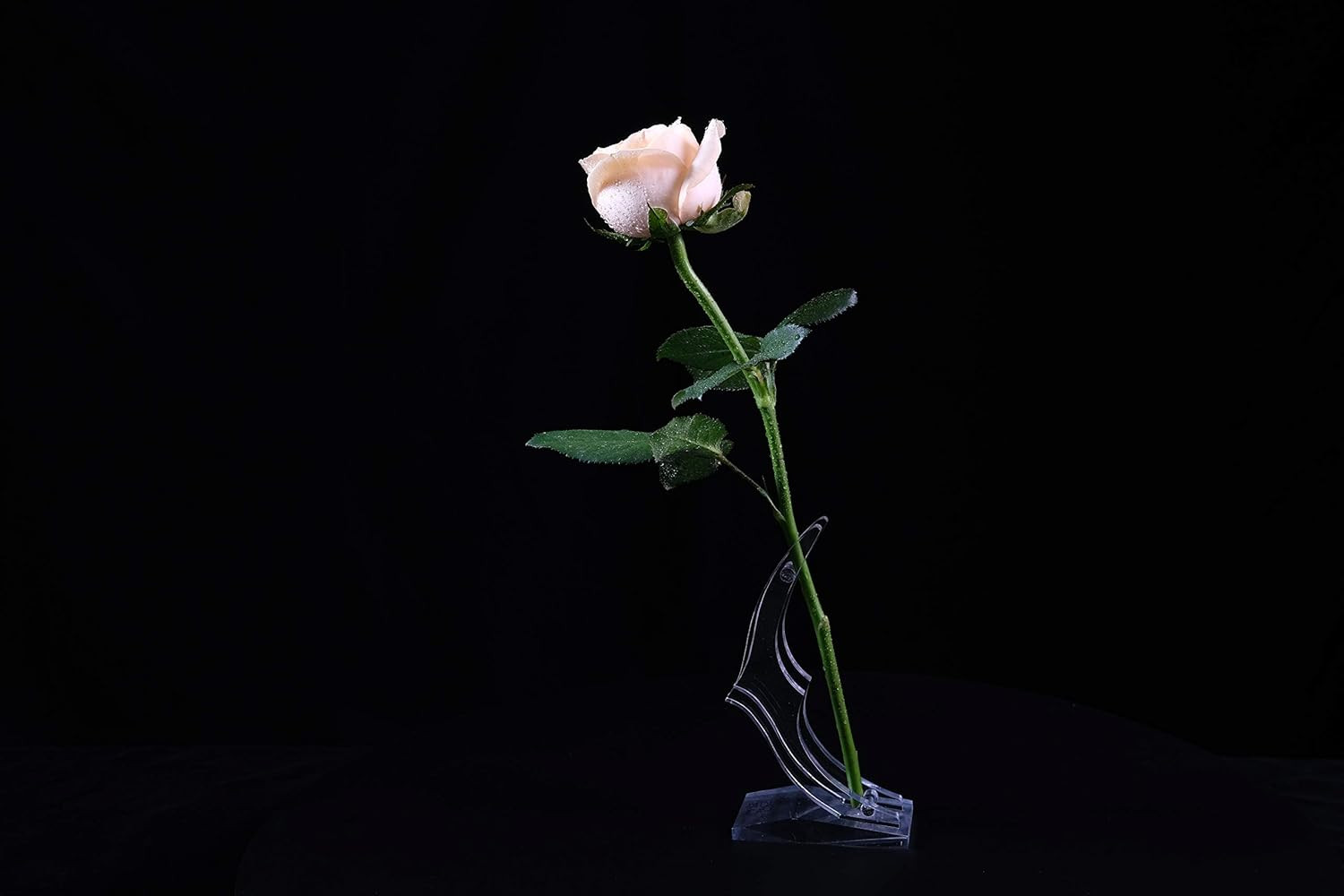 24K Rose Display Stand for 24K Gold Rose – Transparent Acrylic Flower Shelf Supp
