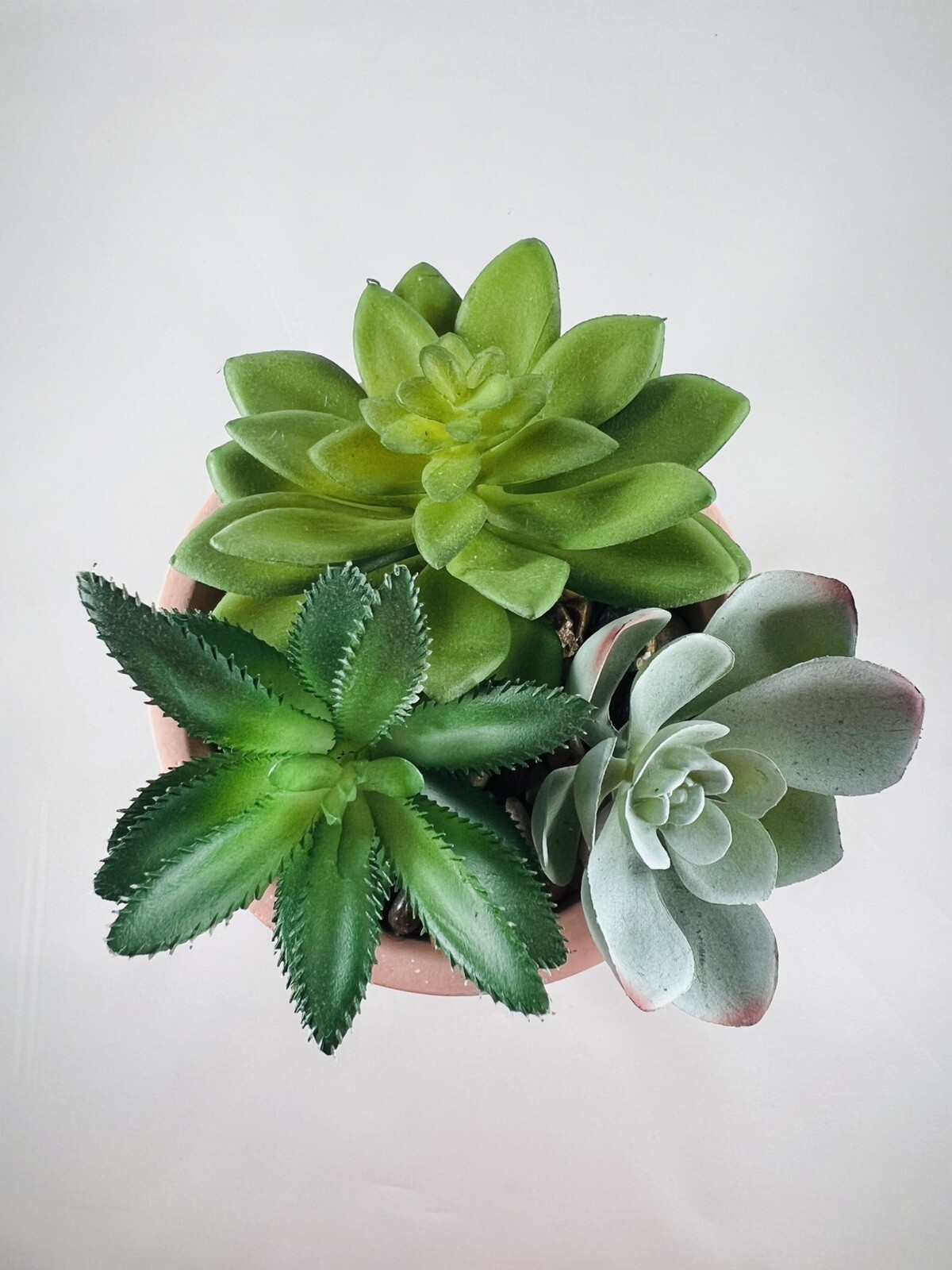 Artificial Succulents in Clay Embossed Pot, 6.5″ tall