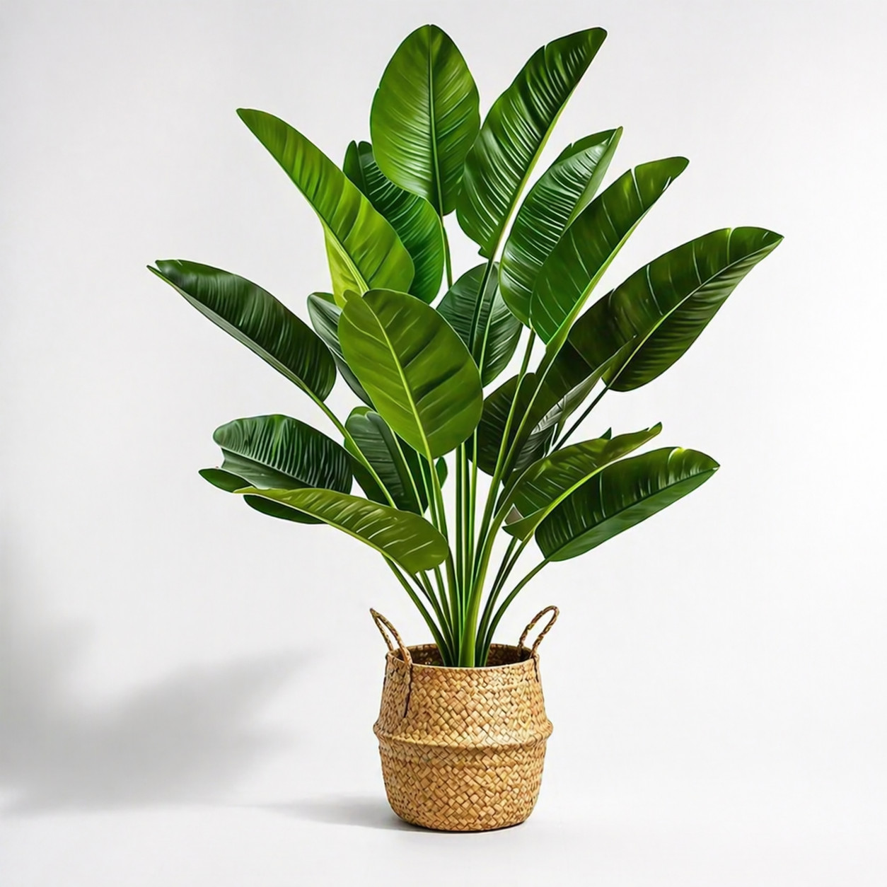 Leaves Artificial Plants Large Tropical Palm Tree Fake Banana Plants Leaves Real
