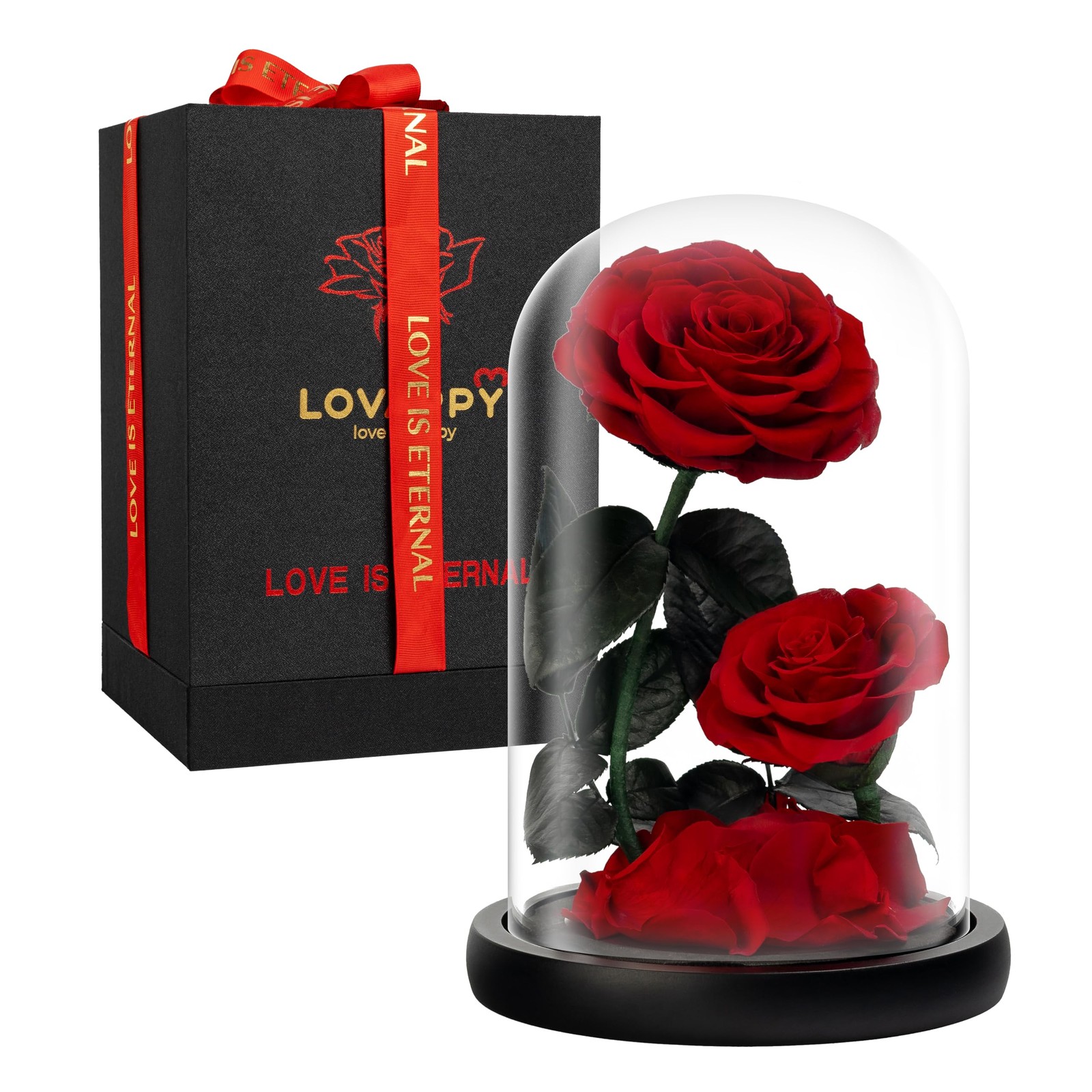 LOVAPPY Eternal Flower in a Glass Dome Preserved Rose The Perfect Forever In…