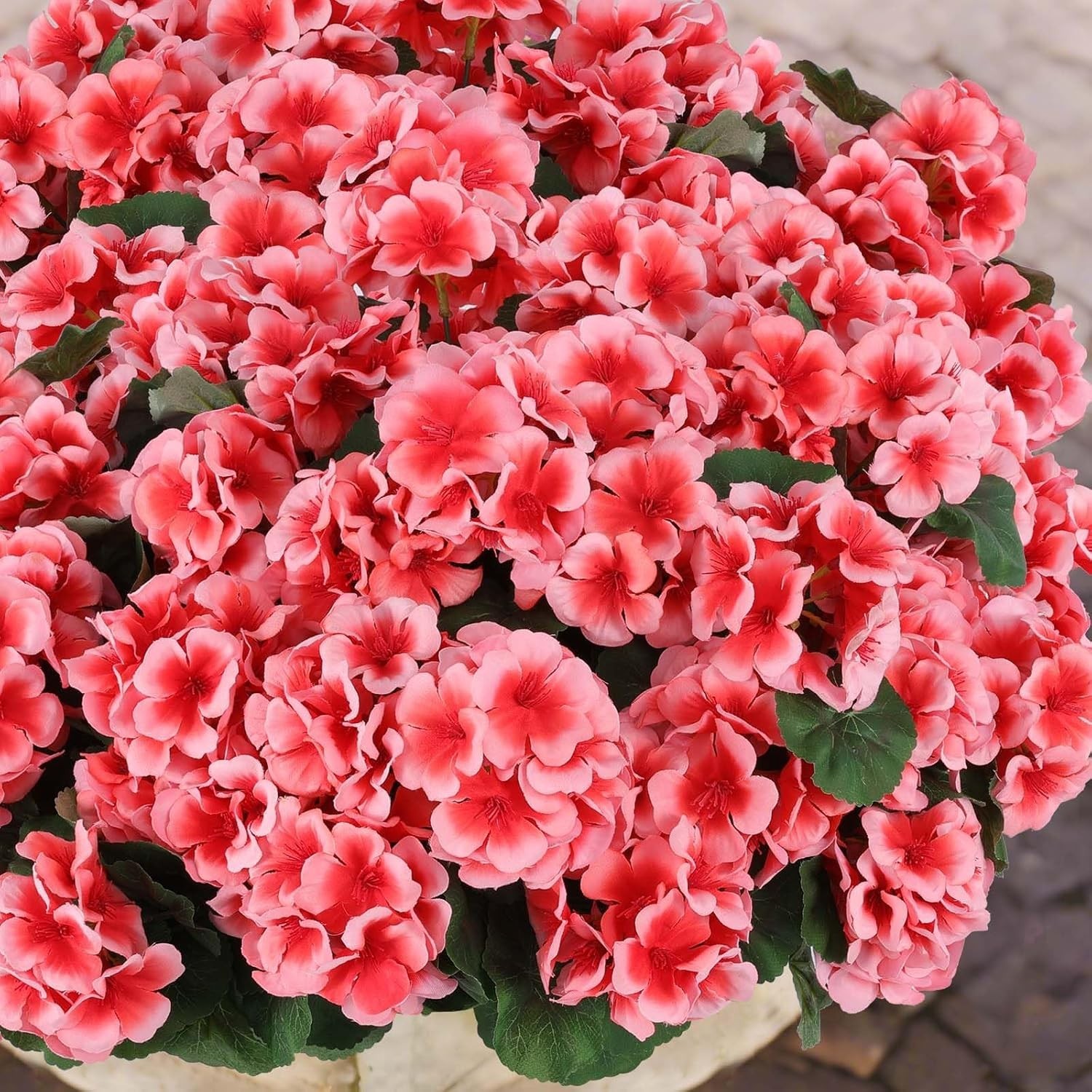 12 Pcs Realistic UV Resistant Peach Geraniums – Low Maintenance Garden Elegance