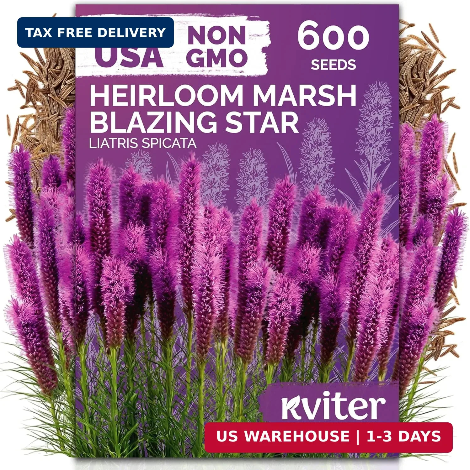 KVITER 600 Marsh Blazing Star Seeds for Planting (Liatris Spicata) – Gayfeather