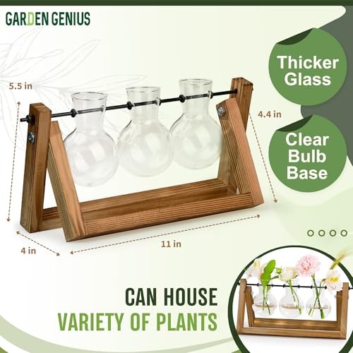 Glass Propagation Station with Wooden Stand – 3 Bulb Vase Plant 3 Bulbs