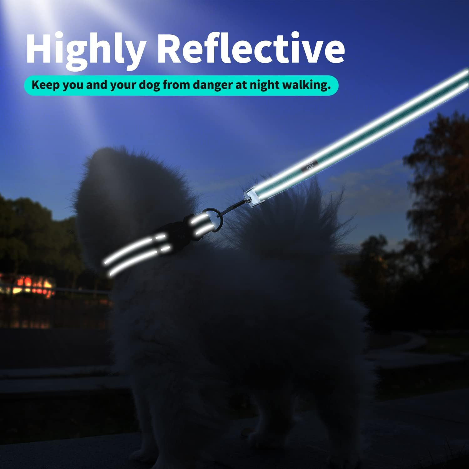 Reflective Dog Collar and Leash Set,Adjustable Neoprene Padded Dog Collars for P