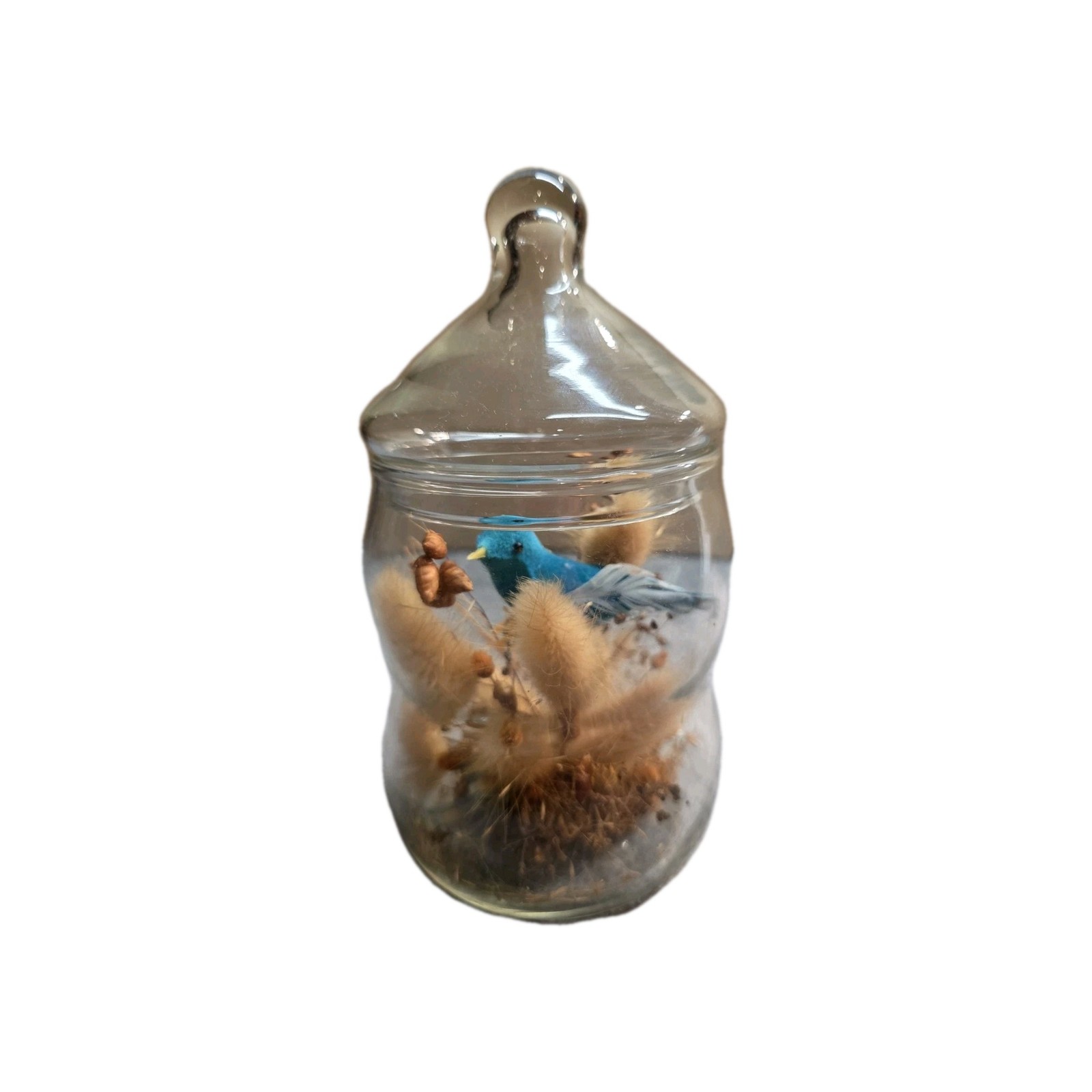 VTG Apothecary Jar Dried Floral Terrarium with Blue Bird