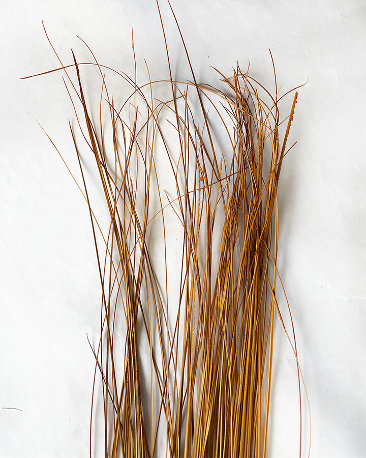 Wispies Pack of 100 Stems 4ft Orange