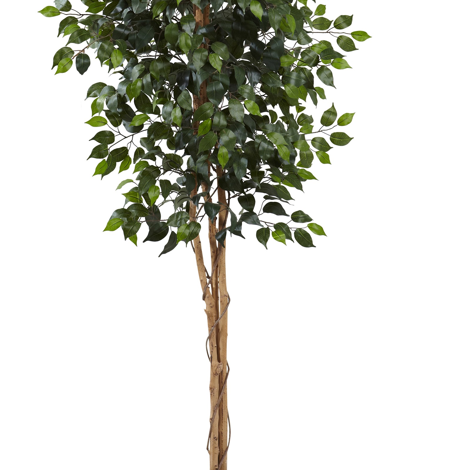 Nearly Natural 96″ Ficus Tree with Over 1500 Leaves in Green/Black