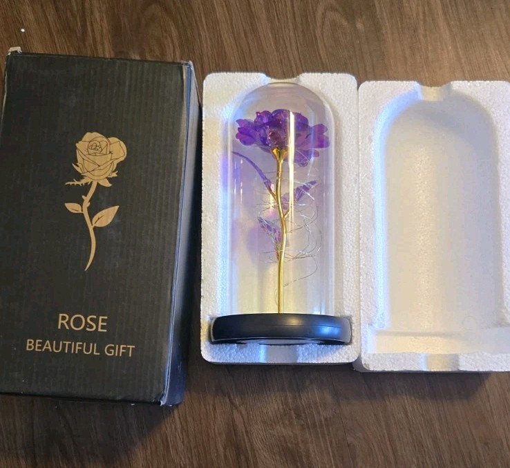 Light Up Rose Flower in a Glass Dome LED Lights Gift for Birtday / Holiday…