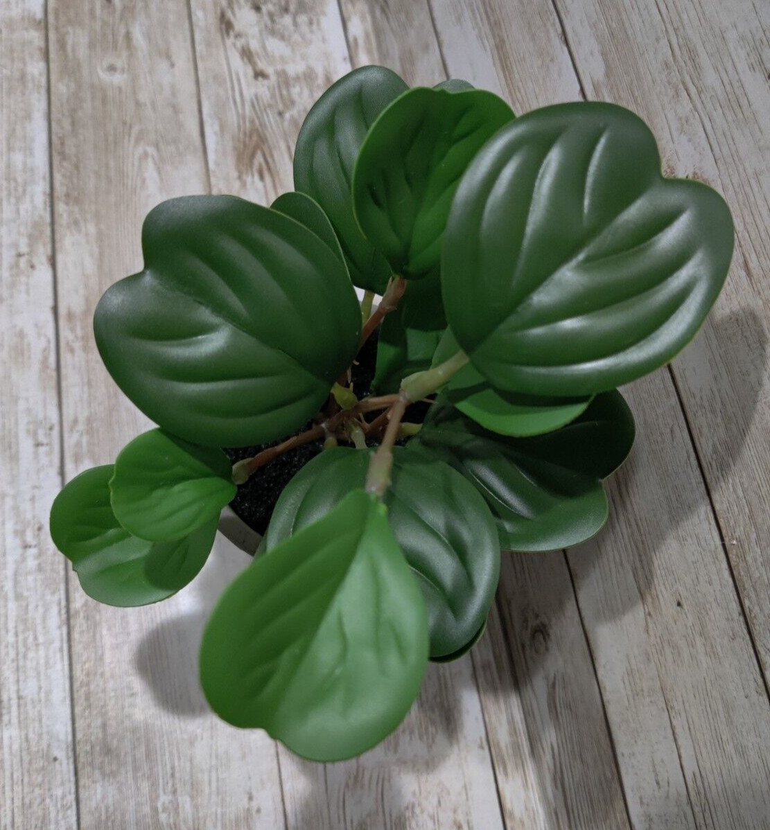 Faux Hoya Heart Potted Plant from Hearth and Hand with Magnolia *4 Pack* 7″ Mini