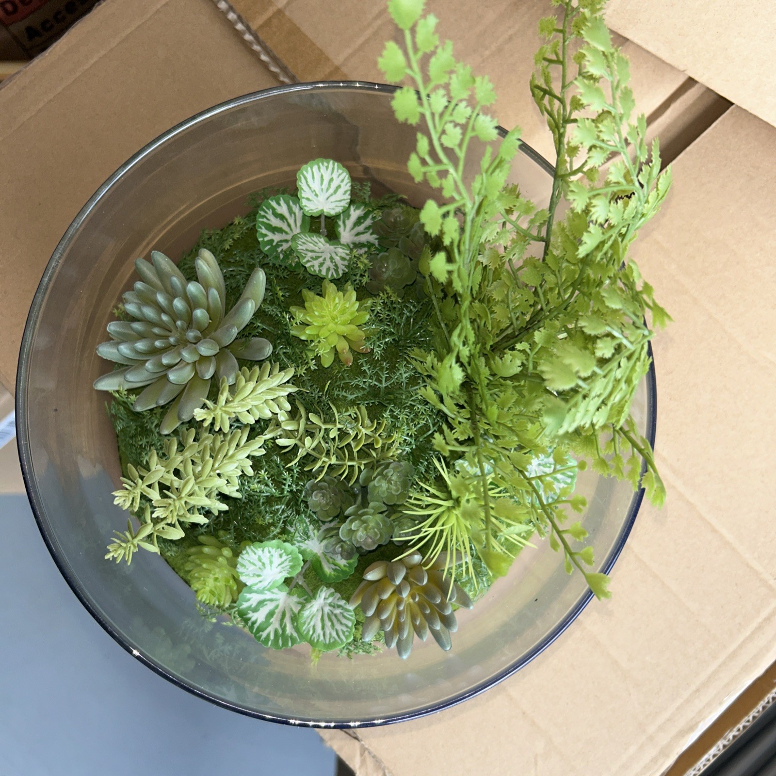 Faux Succulent Terrarium in Glass Bowl Modern Tabletop Home Decor