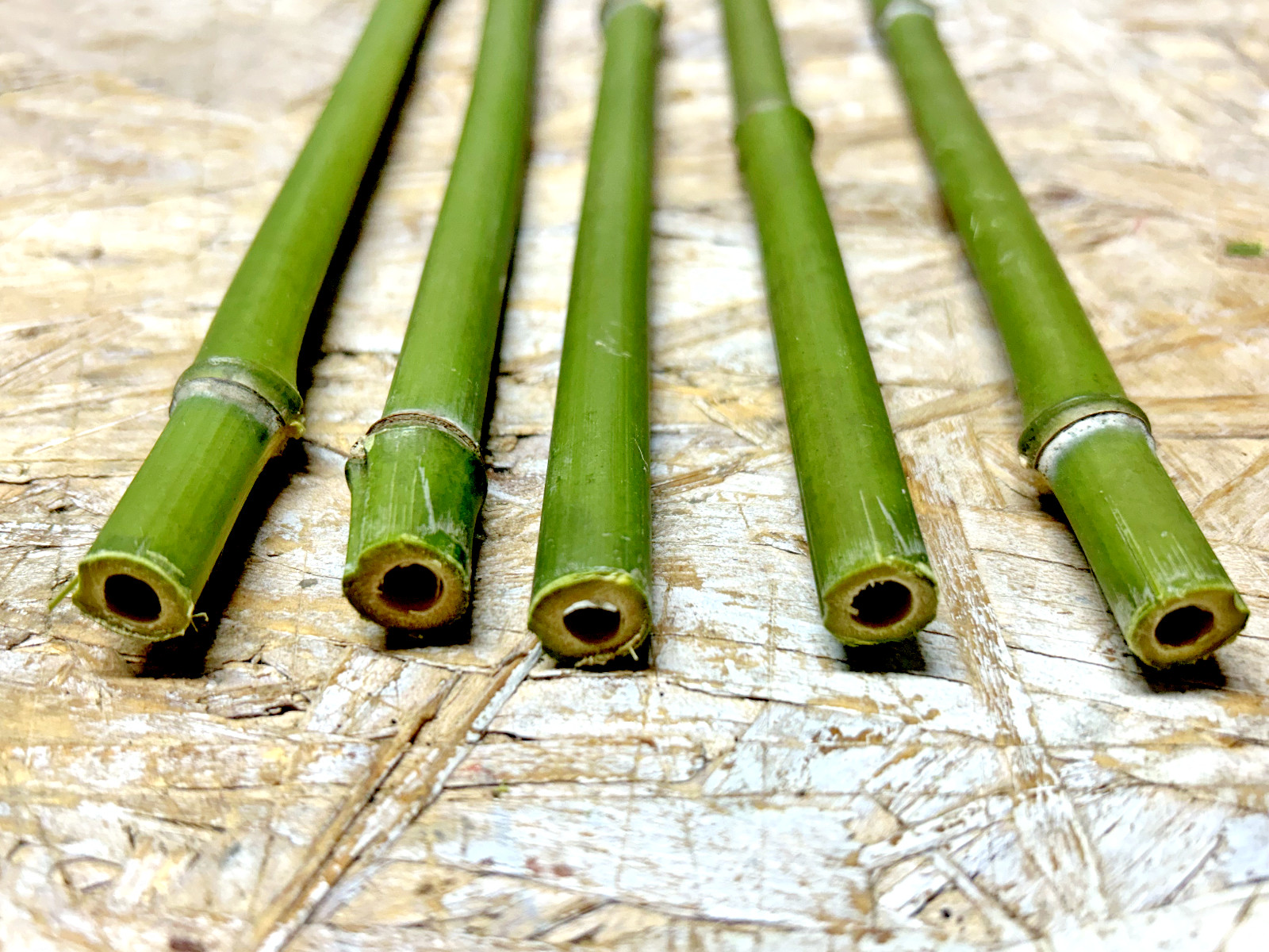 5PCS 1/2″ Diameter Fresh Cut Natural Bamboo For Decor 12″