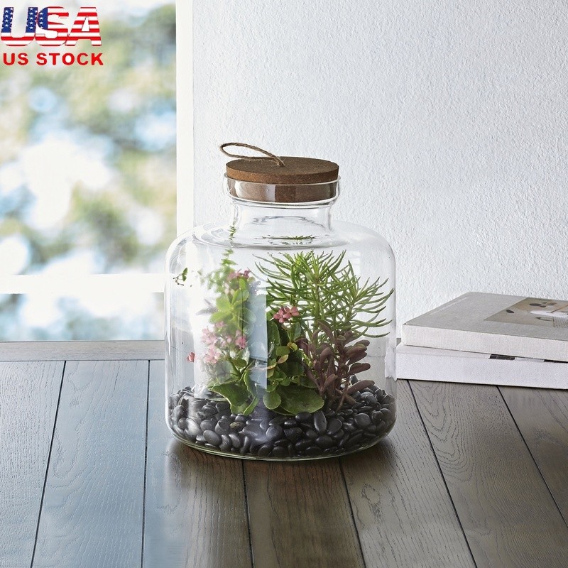 Medium Glass Terrarium Succulents Cacti Air Plants Indoor Outdoor Decor New