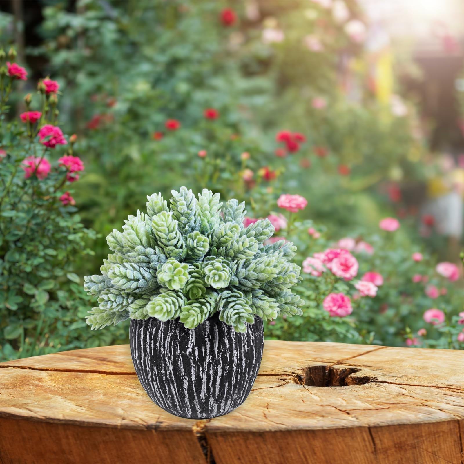 Set of 3 Artificial Succulent Plants in Black Pots Fake Hops Aloe String of P…